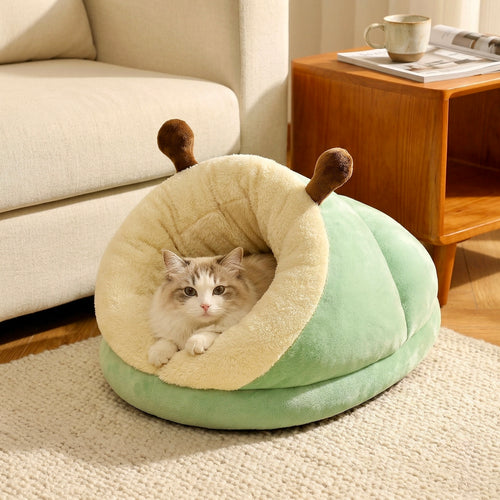 Koharu Cozy Cave