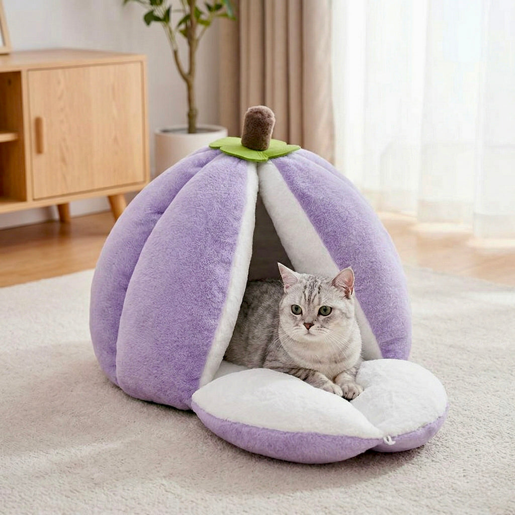 Yume Fruit Hideaway