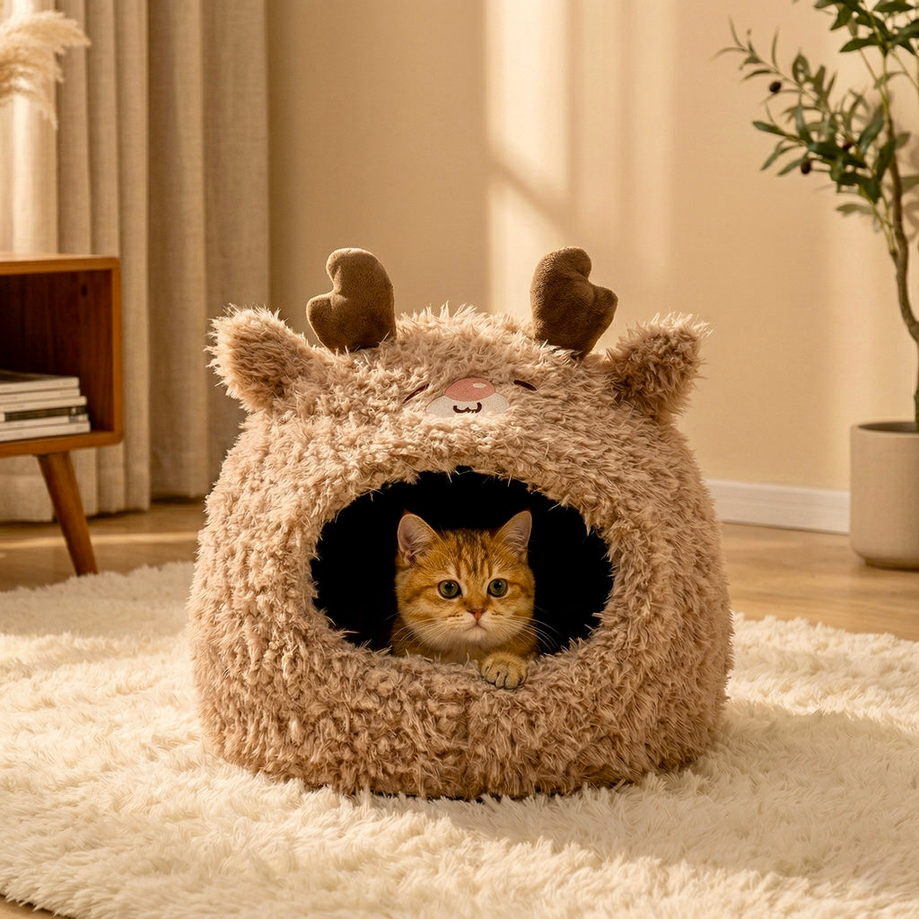 Airi Bunny Cave