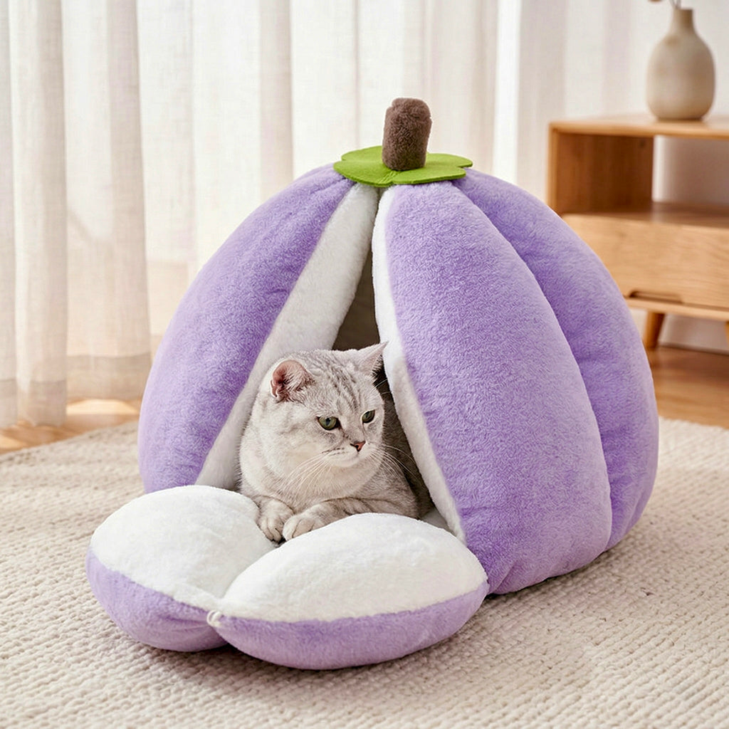 Yume Fruit Hideaway