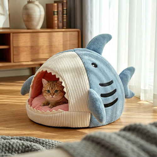 Kazumi Shark Cave