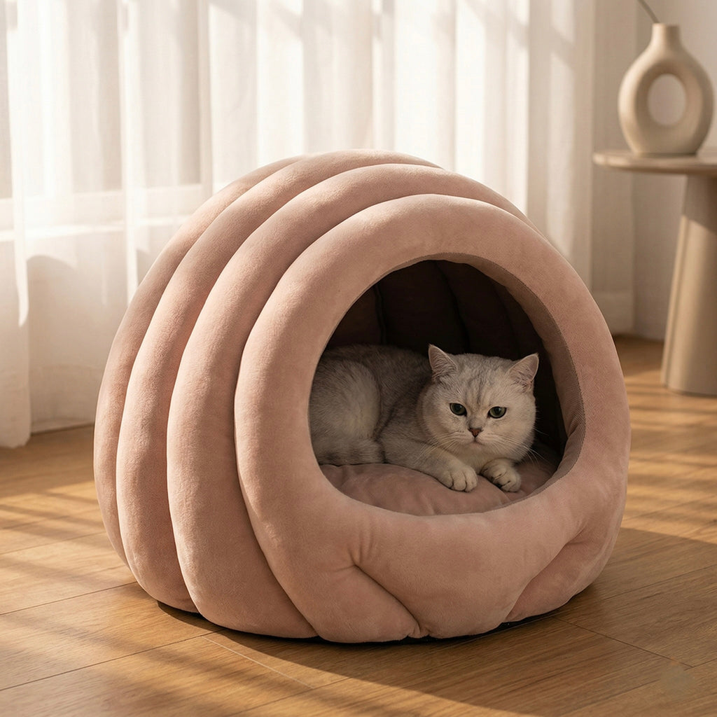 Koharu Shell Cave