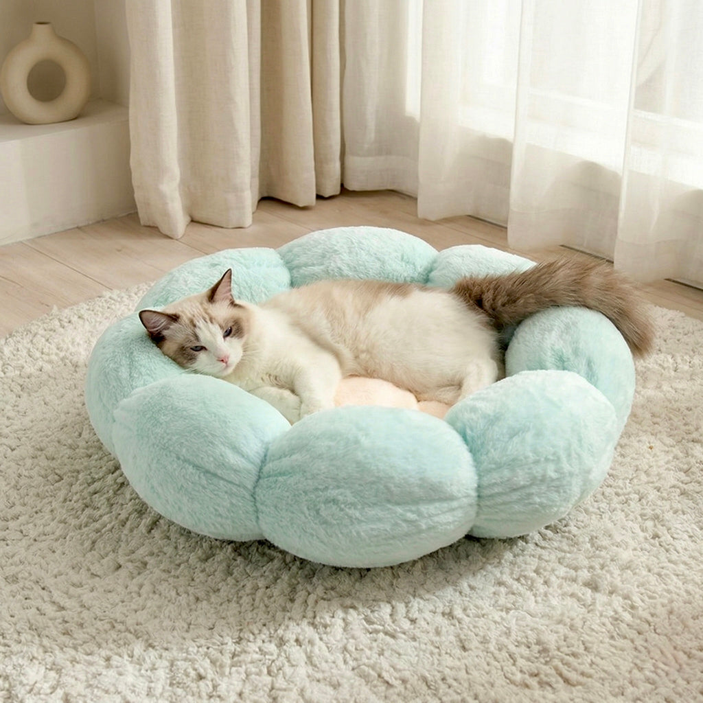 Nozomi Spacious Bed
