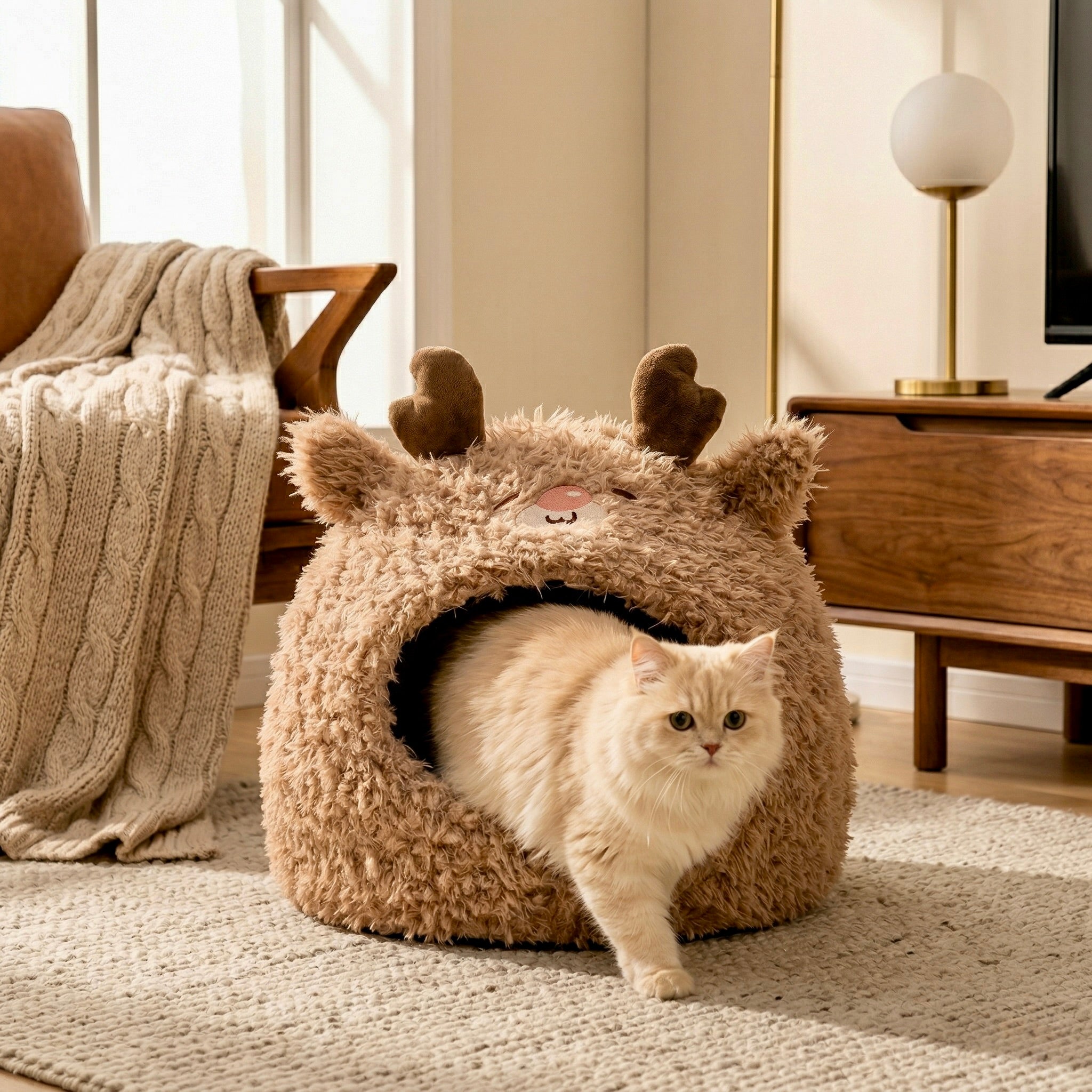 Airi Bunny Cave